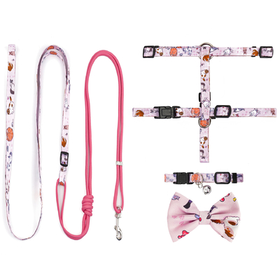 Good price Custom Printed Cat Harness Set with Collar and Leash online